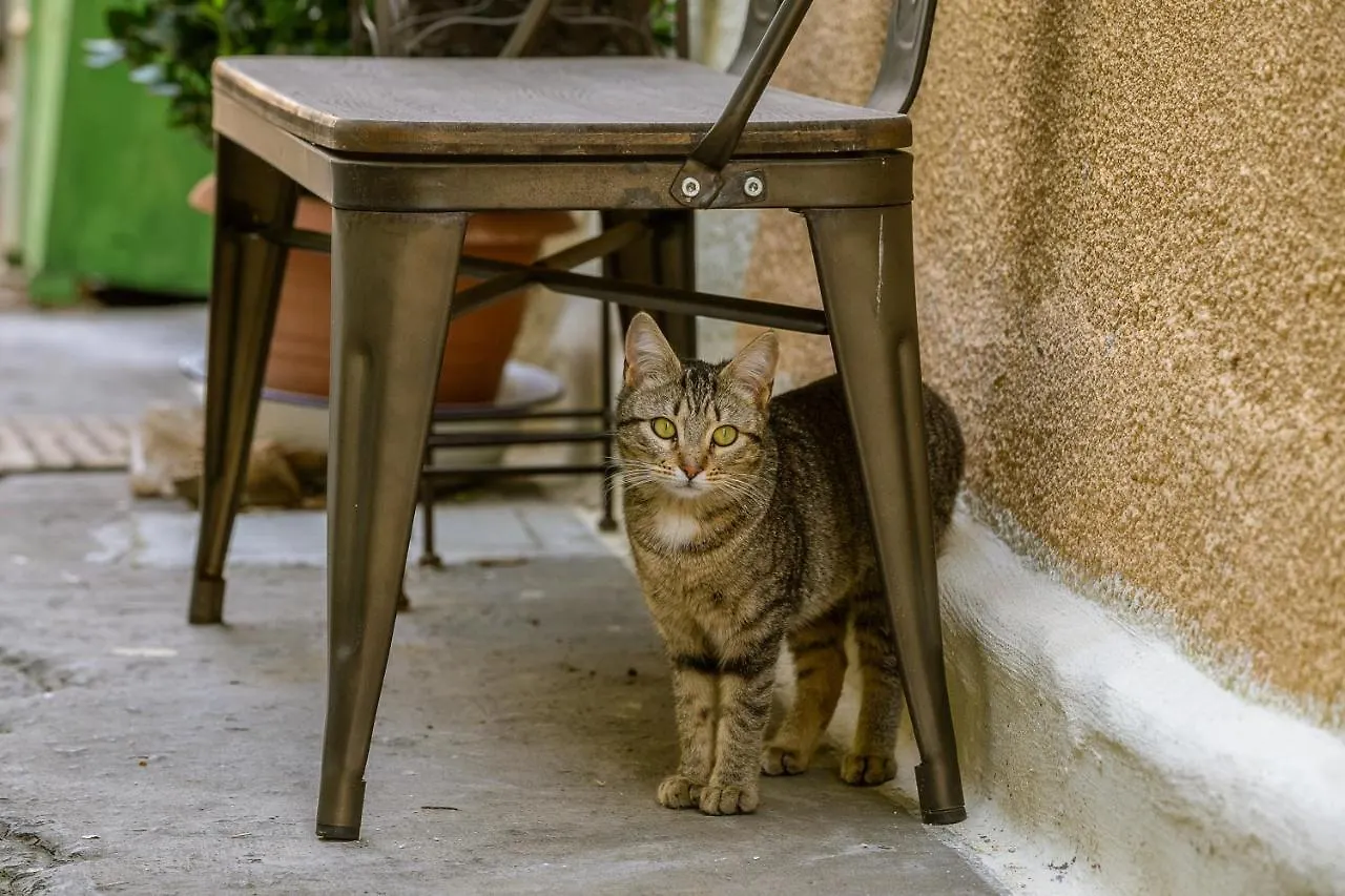 Giaminera B & B Art Studio Baunei 0*,  Italy